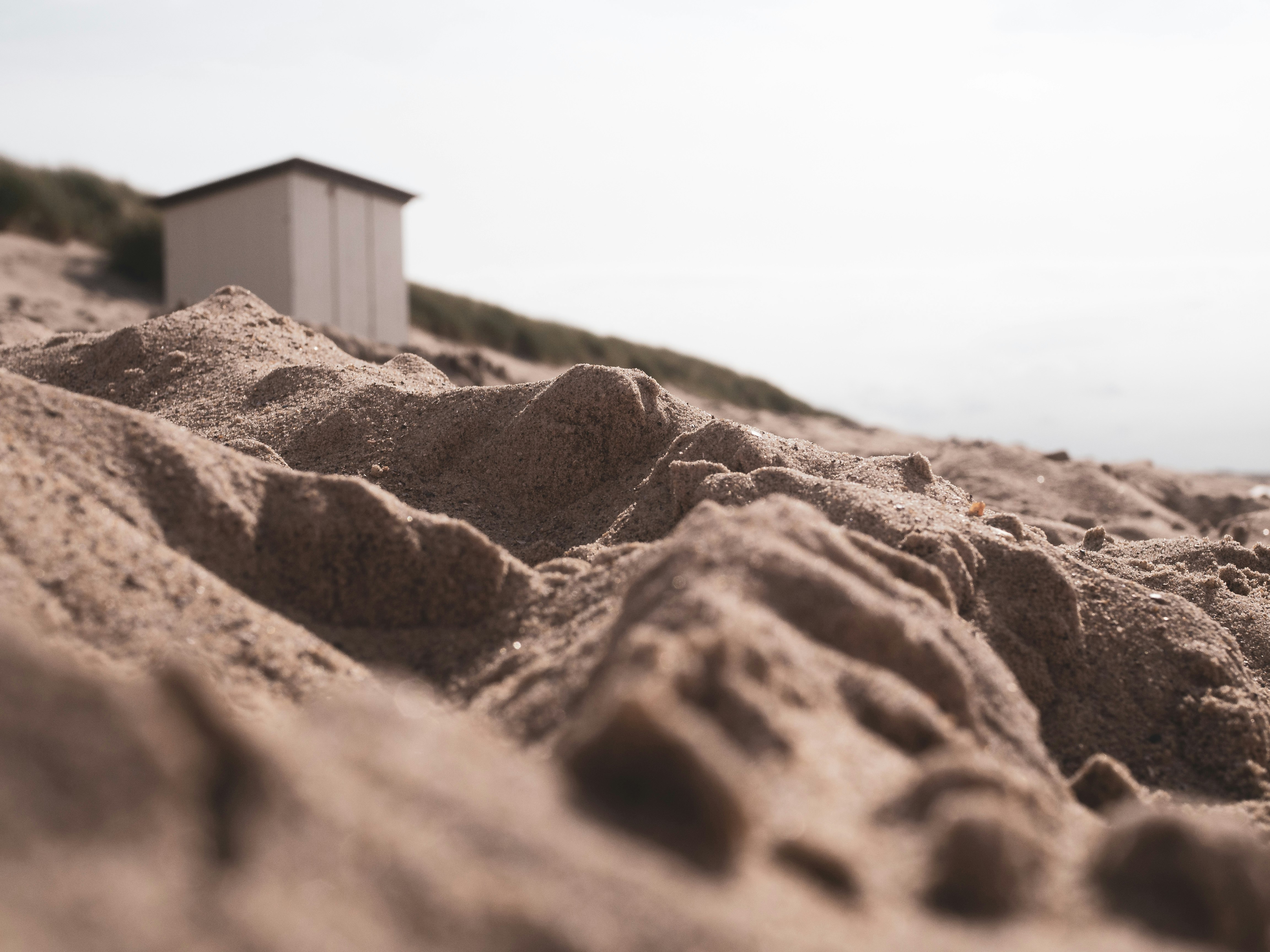 selective focus photography of sands